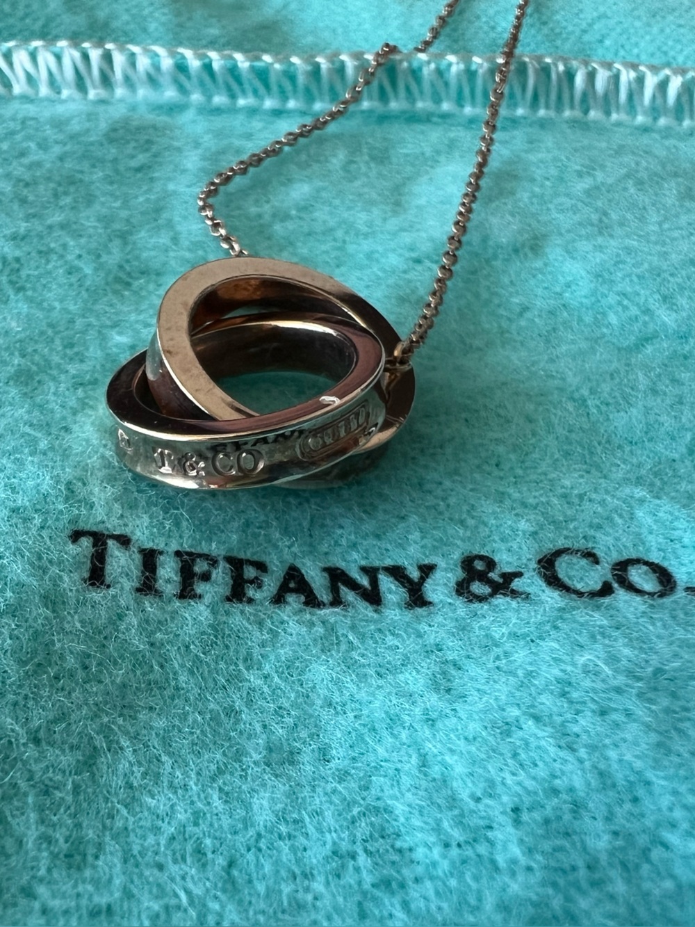 Tiffany & Co. Interlocking Double Ring Pendant in Rubedo